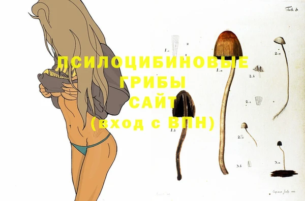 прущие крисы Богородицк