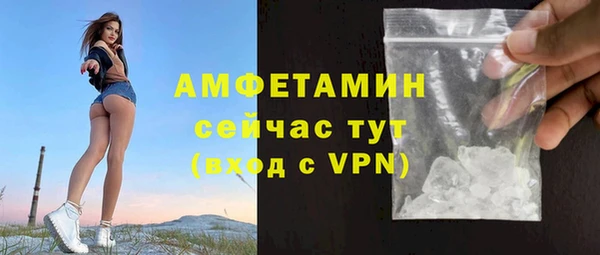 молекула духа Богданович