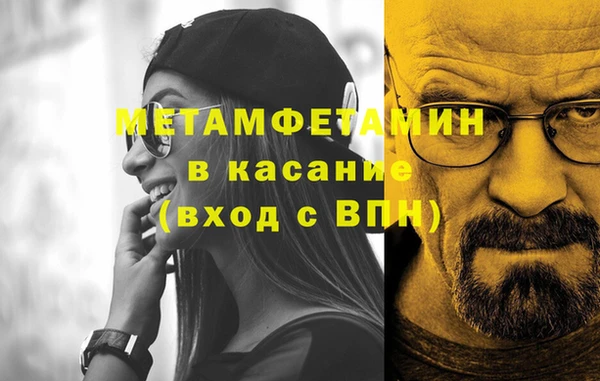 молекула духа Богданович