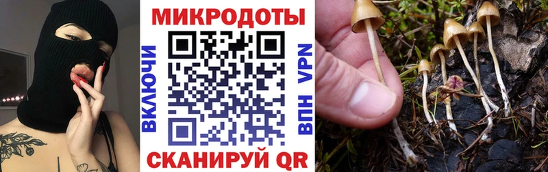 Псилоцибиновые грибы MAGIC MUSHROOMS  это телеграм  Шумерля  кракен tor 
